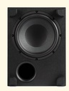 POLK MXT10